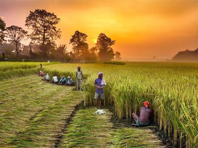 चला जाणून घेऊया शेती