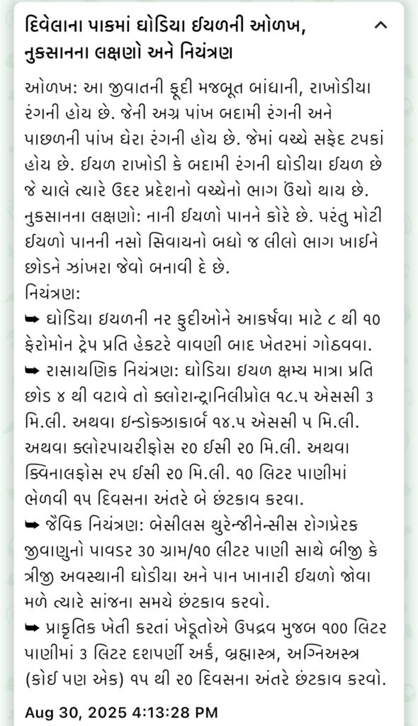દિવેલાના પાકમાં ઘોડિયા ઇથળની ઓળખ, નુકસાનના લક્ષણો અને નિયંત્રણ