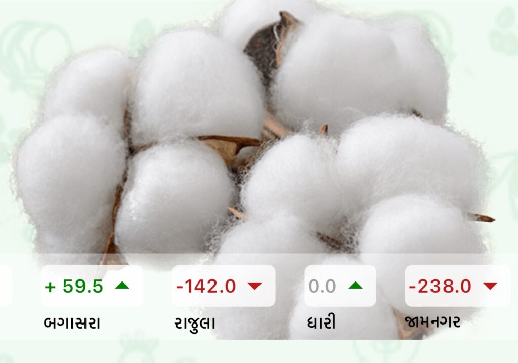 Cotton Market Yard Price Updates Today in Gujarat (02 September)