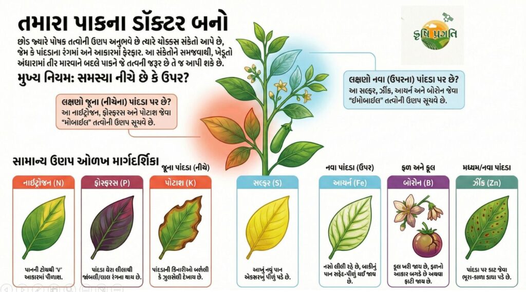 Plant Nutrient Deficiency Guide