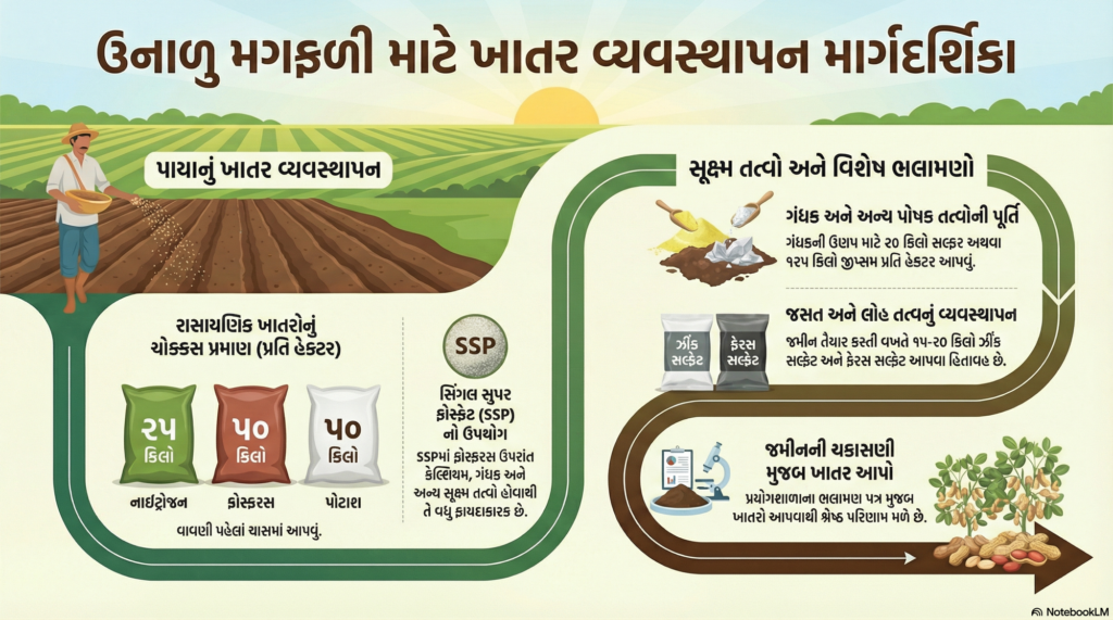 Summer Groundnut Fertilizer Guide