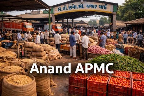 Anand Bajar Bhav Today 2026