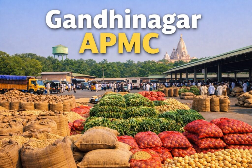 Gandhinagar Mandi Bhav Today